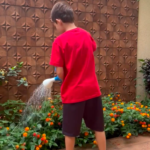 Horta Terapêutica - Dr. Rodolfo Kós